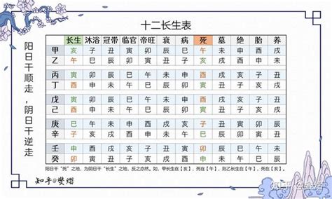 五行十二长生|十二长生表：生旺死绝胎养过程